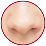 Nose